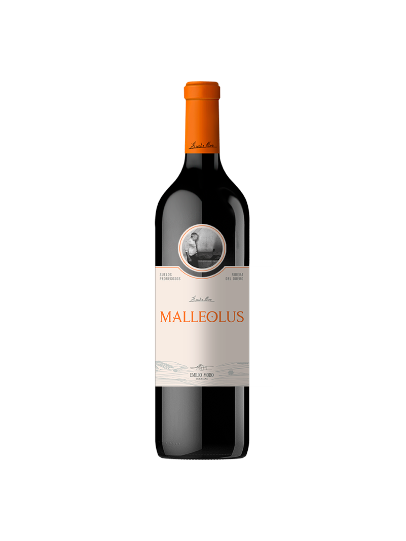 Malleolus 2020 Magnum