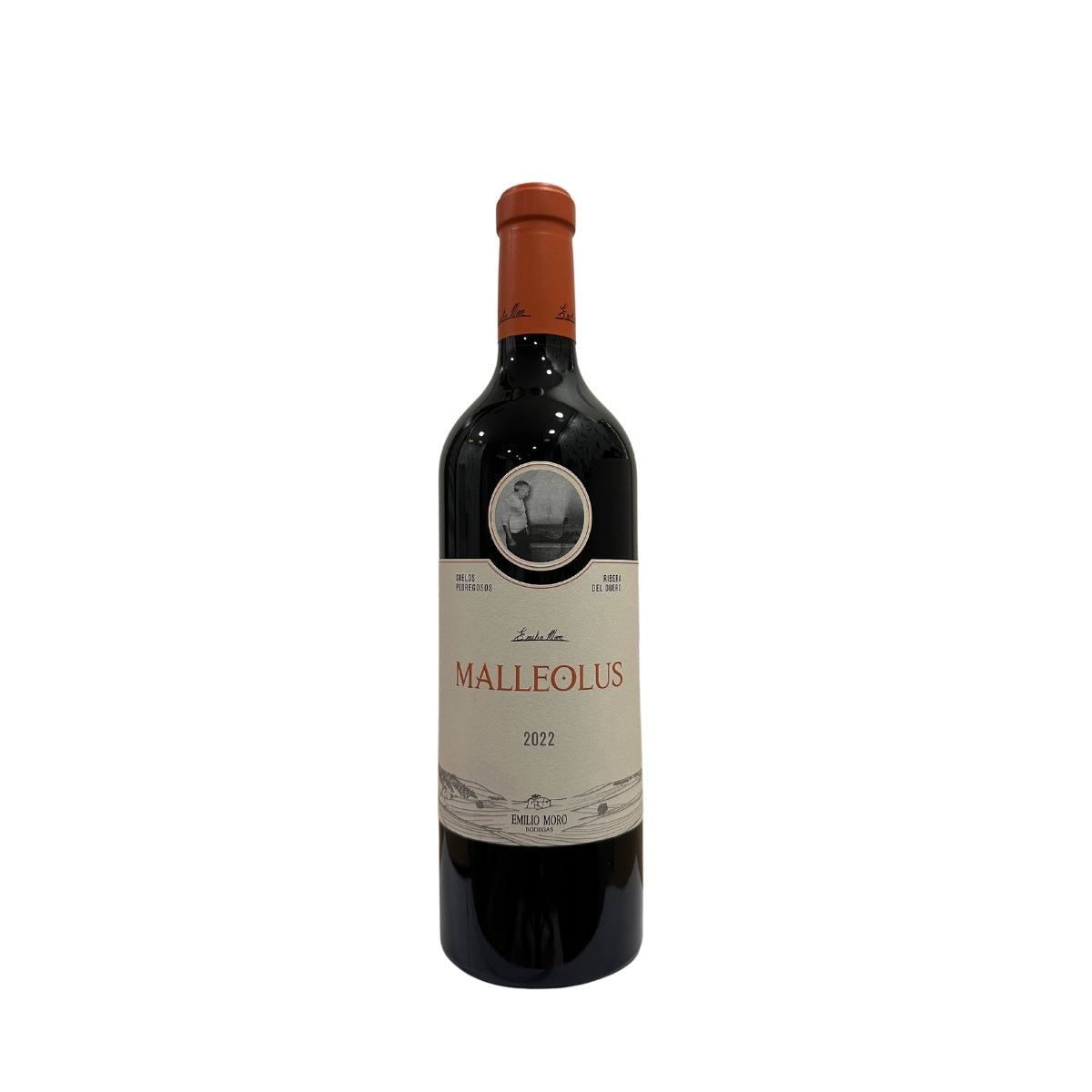 Malleolus